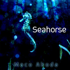 Seahorse