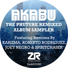 Joey Negro presents Akabu - Ride The Storm (Roberto Rodriguez Calm Before The Storm mix) (Snippet)