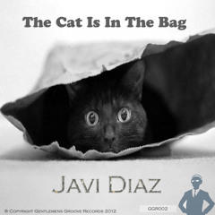 Javi Diaz - Direct To The Target (Original Mix) [GGR002]