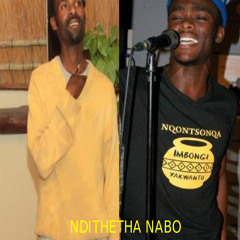 Ndithetha nabo ( mr shein & Nqontsonqa)
