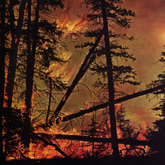 SSLEEPING DESIRESS _ passage