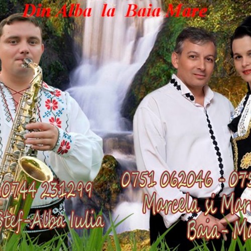 Formatia Viorel Ioan Stef si Sotii Groza-Maramuras lent-petrecere Viseu de Sus-Maramures-live.wmv