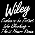 Wiley I&#x27;m&#x20;Skanking&#x20;&#x28;The&#x20;2&#x20;Bears&#x20;Remix&#x29; Artwork