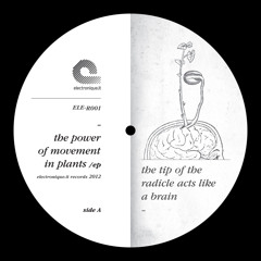 passEnger - Is This For Real? - [electronique.it - 2012]