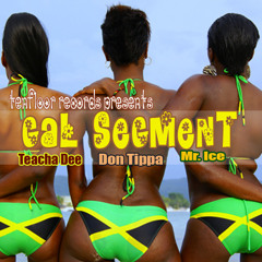 Teacha Dee feat. Don Tipa and Mr. Ice - Gal Segment - (Tenfloor Records) [April 2012]