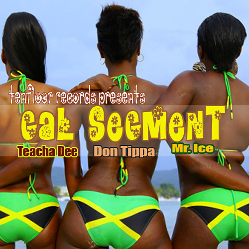 Teacha Dee feat. Don Tipa and Mr. Ice - Gal Segment - (Tenfloor Records) [April 2012]