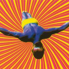 Hakkt im Takkt - Wizard of Sonic