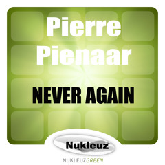 Pierre Pienaar - Never Again (Original Mix)