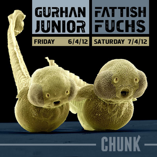 fattish & fuchs live at chunk 07042012