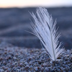 Spezial-K - Freier Fall (feat Pyro One)