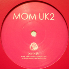 We can't hide (MOMUK2 12")