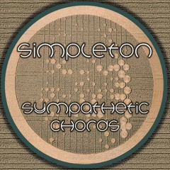 Sympathetic Chords (Sympathetic Chords EP out Apr. 18)