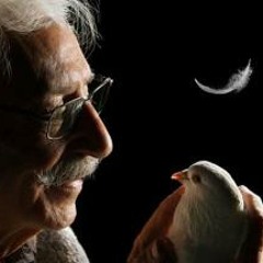 1.Shanginak by Siavash Nazeri آلبوم ممنوع شده خُروش سیاوش ناظری