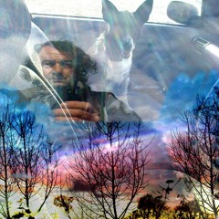 David Reese - Chasing The Shadow