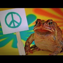 Peace Frog Ringtone