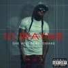 Lil Wayne - She Will (Ft. Drake)