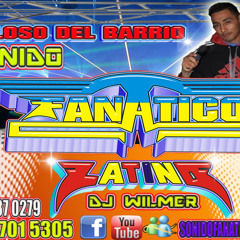 JAMAS TE OLVIDARE GRUPO LOS TEPOZ EN VIVO SONIDO FANATICO LATINO 2012