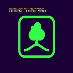 Schiller ft. Heppner - I feel You (Boral Kibil & Mahmut Orhan Mix)