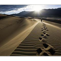 Walkin To The Sun