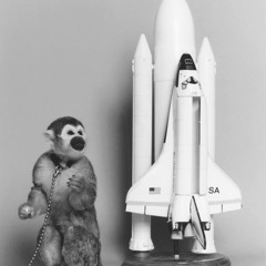Astrochimp1 PULL UP