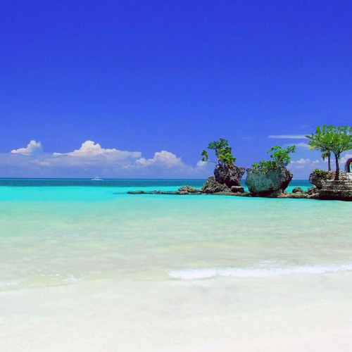 Sunset Daze - Selfish