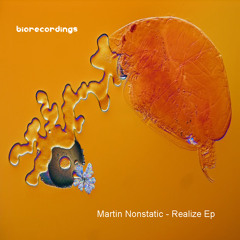 Martin Nonstatic - Realize Ep