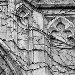 The Great Device - The Debonaire