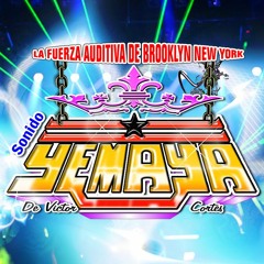 ROSAS SIN ESPINA en vivo 2012 SONIDO YEMAYA