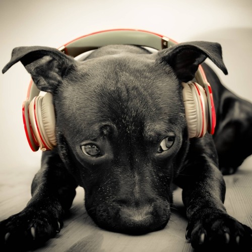 Spider Loc 'Blutiful World' - " Music fron Ipod Abi "