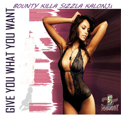 Bounty killer -- sizzla kalonji give you what you want