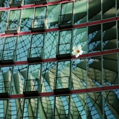 05 Swim, Robert, Swim