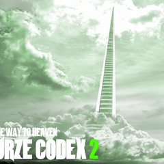 One Way To Heaven - Pre-Listening - Sourze Codex 2 Beat LP (2012)