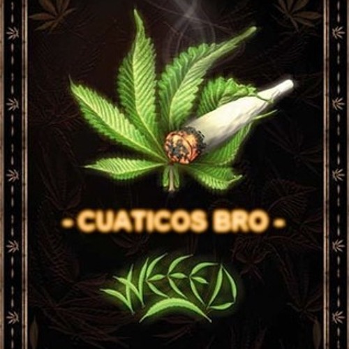 Cuaticos Bro  - Real Problema - Año 2005 - Chinor - Efecto - Hecmos- Zero