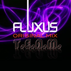 Fluxus - T.E.A.M. (Original Mix) w/ Flashback Acapella