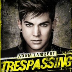 adam lambert ~(•w•)~