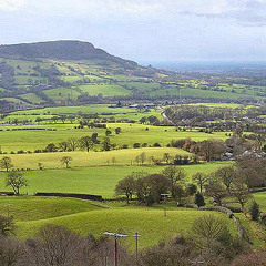 05 Cheshire Phantasies (Cloud Hill Drummer Boy)