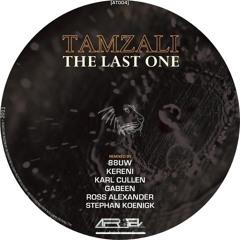 AfroTek 004 - Tamzali - The Last One - Karl Cullen Remix