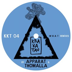 A2 What (Thomalla Intrumental) SNIPPET