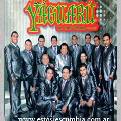 LOS YAGUARU - LA MITAD DE MI VIDA 2012