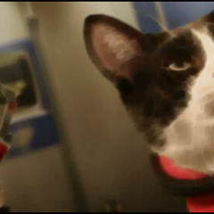 Cats In Space - Cat-tastic Space Music