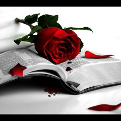 تقاسيم قانون