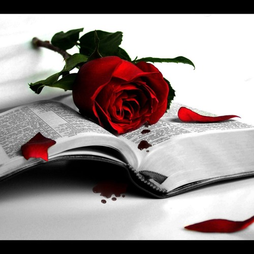 تقاسيم قانون