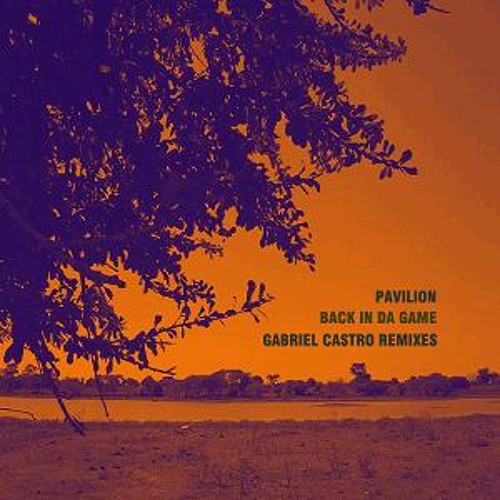 Pavilion-Back In Da Game (Gabriel Castro Remix)