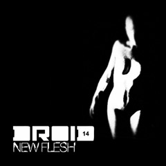 New Flesh EP Promo Mix