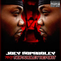 Joeynoparoley- questions