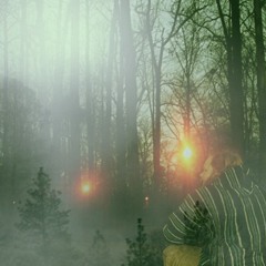 Amongst friends and rivals - The Forest Mist