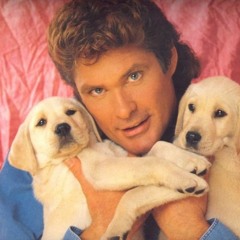 veneciano seducción 2 - la discoteca seductora