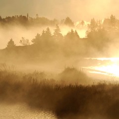 Kasious and Reximus - Evoke