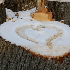 Hearts in the Snow (Sept 2011 Demo)