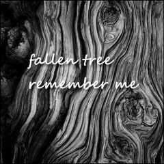 Fallen Tree/ Remember Me